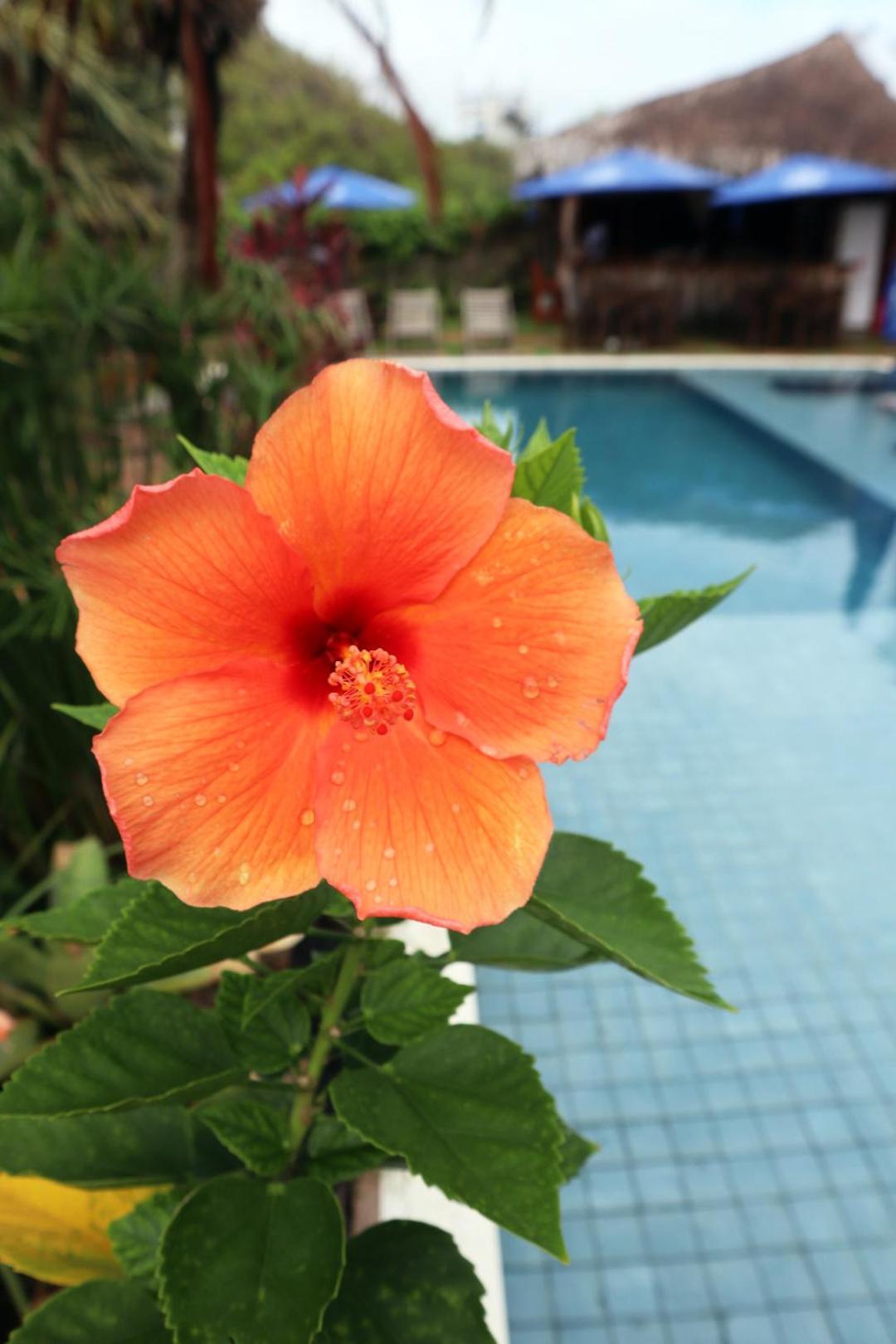 Pousada Vila Camurim Atins Ngoại thất bức ảnh